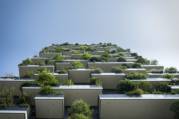 Green Economy & Environment